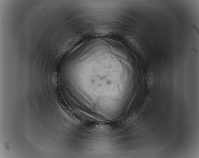 X0000103240455200809111601