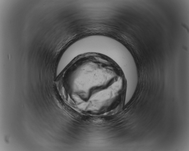 X0000103240456200809111601