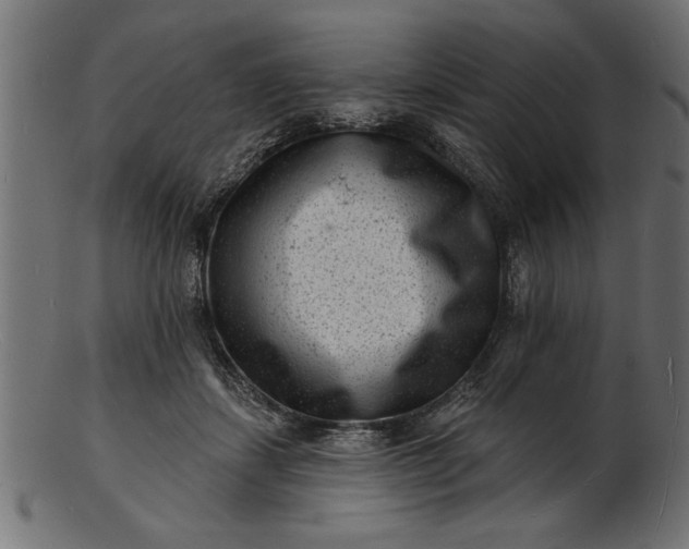 X0000103240459200809111601