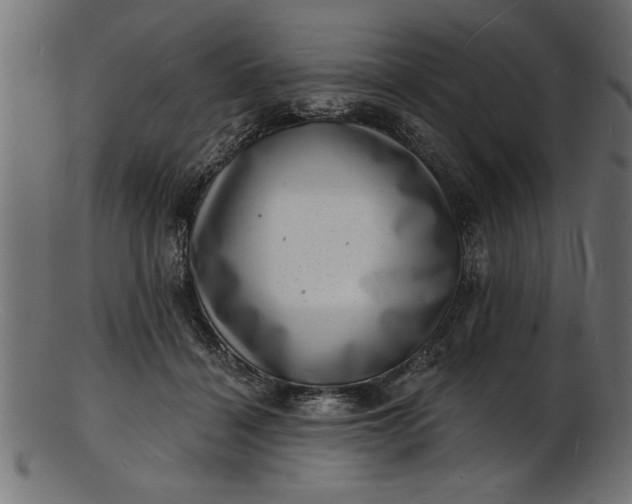 X0000103240460200809111601