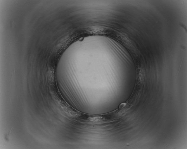 X0000103240461200809111601