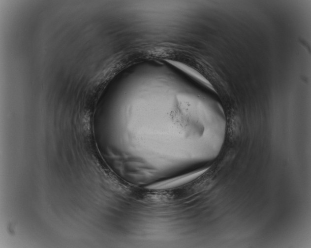 X0000103240466200809111601