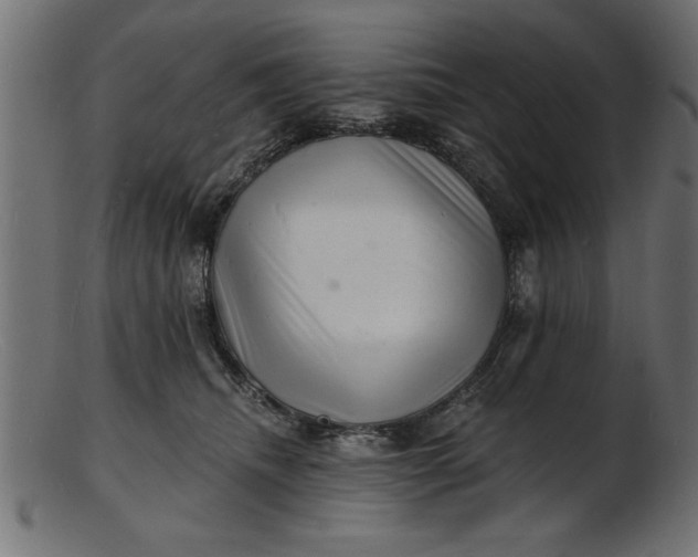 X0000103240468200809111601