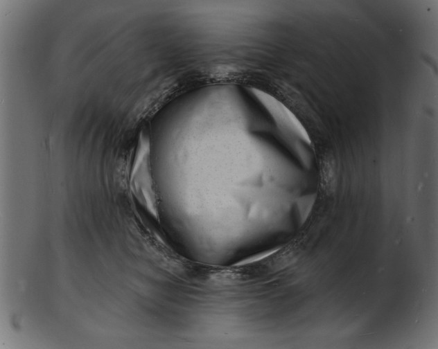 X0000103240470200809111601