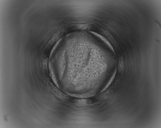 X0000103240473200809111601