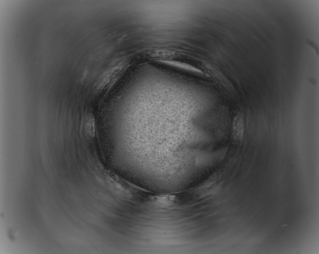 X0000103240474200809111601