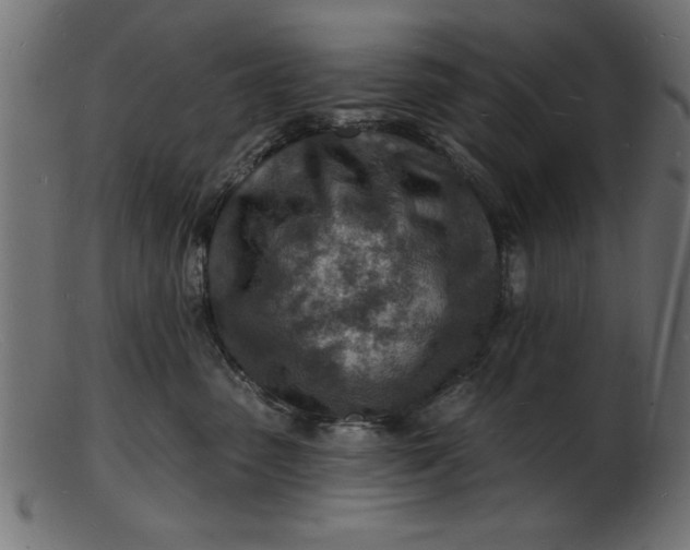 X0000103240475200809111601