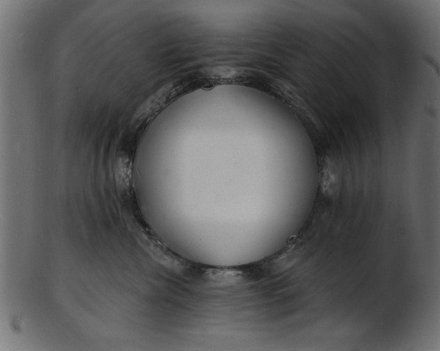 X0000103240476200809111601