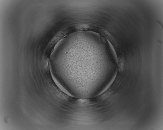 X0000103240477200809111601