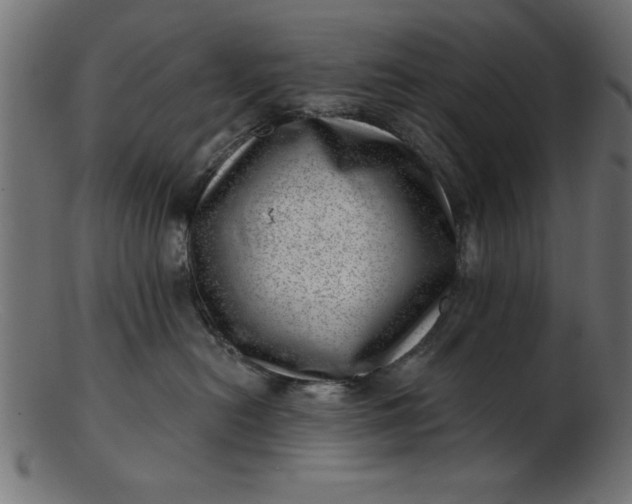 X0000103240478200809111601