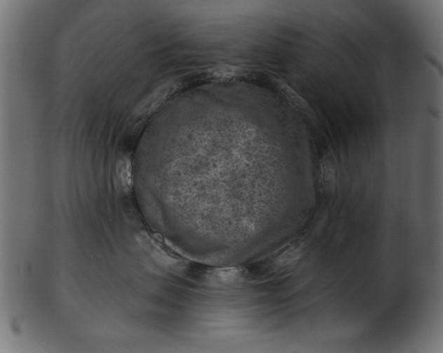 X0000103240479200809111601