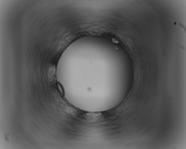 X0000103240480200809111601