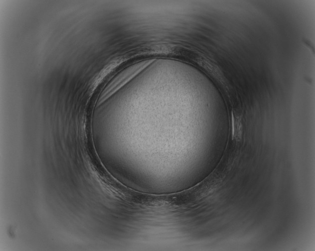 X0000103240483200809111600