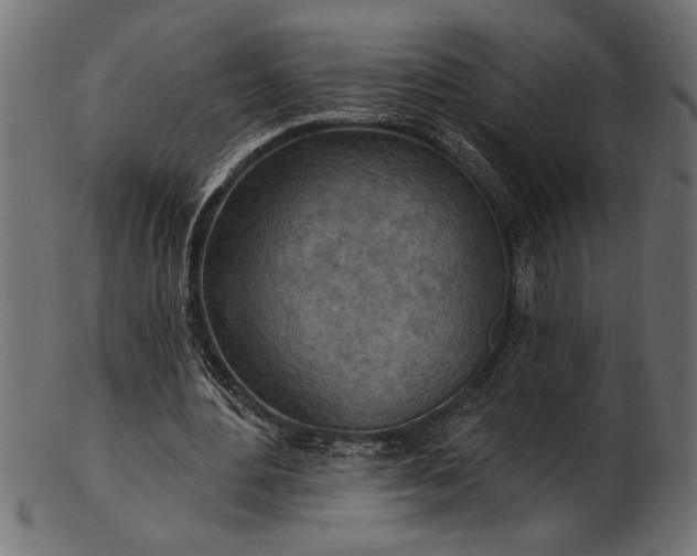 X0000103240484200809111600