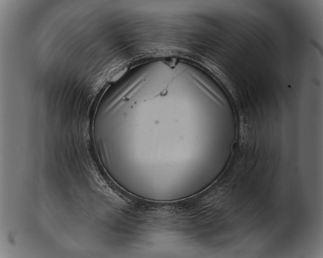 X0000103240485200809111600