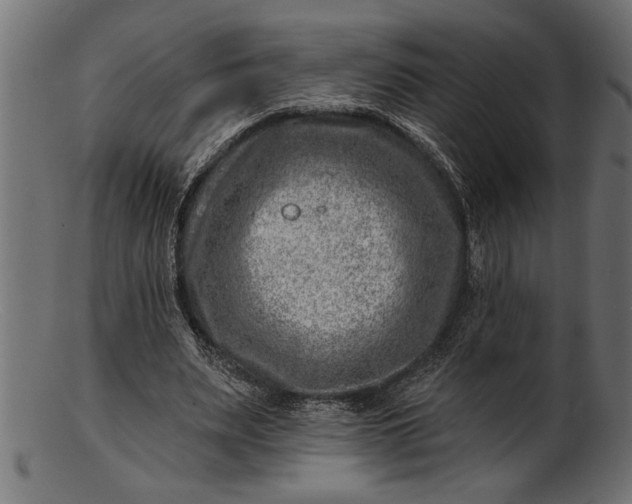 X0000103240487200809111600