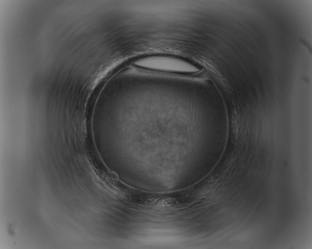 X0000103240488200809111600