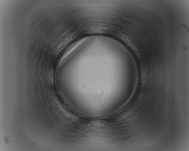 X0000103240489200809111600