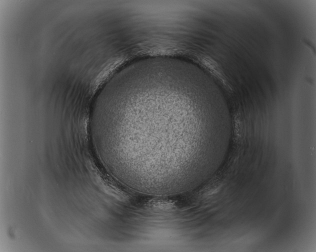 X0000103240491200809111600