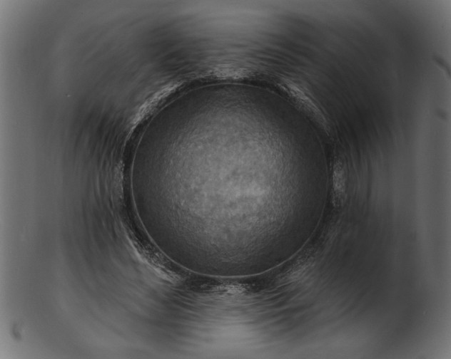 X0000103240492200809111600