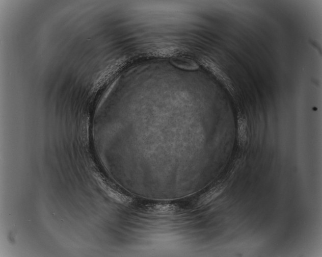 X0000103240493200809111600