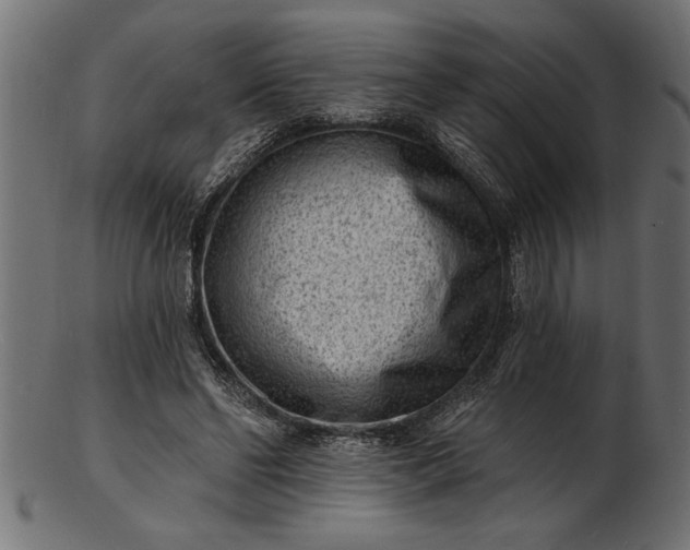 X0000103240494200809111600