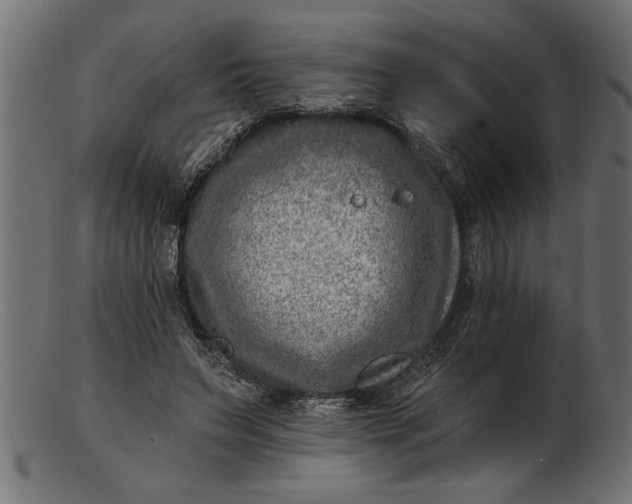 X0000103240495200809111600