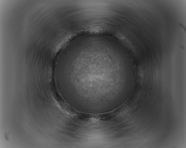 X0000103240496200809111600