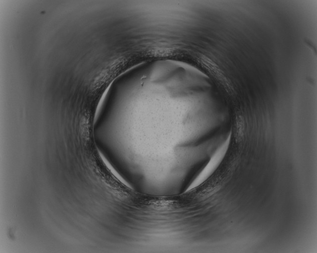 X0000103240497200809111600