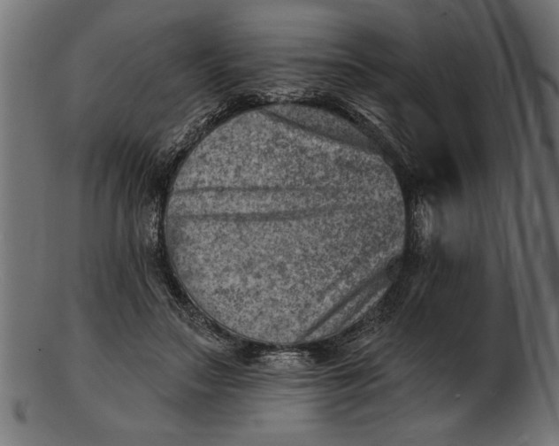 X0000103240499200809111600