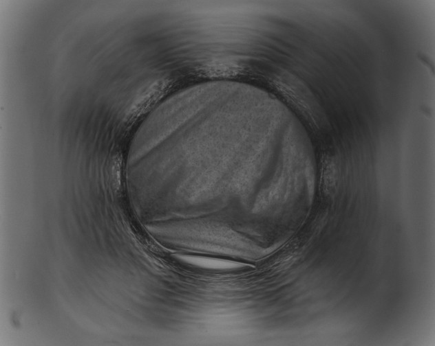 X0000103240501200809111600