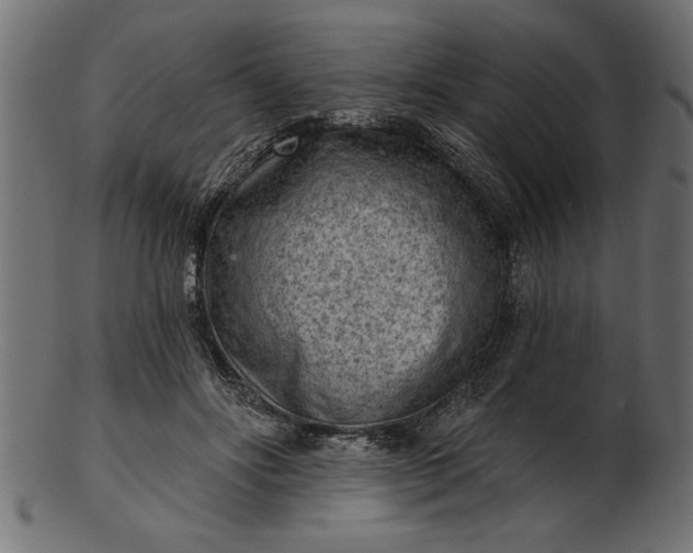 X0000103240502200809111600