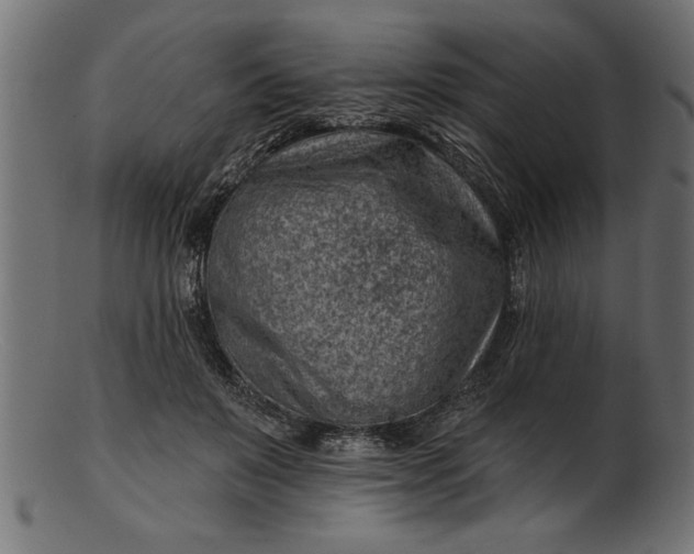 X0000103240503200809111600