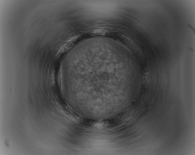 X0000103240504200809111600