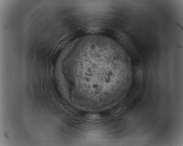 X0000103240507200809111600