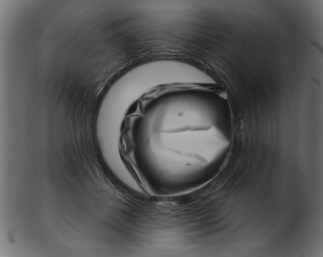 X0000103240508200809111600