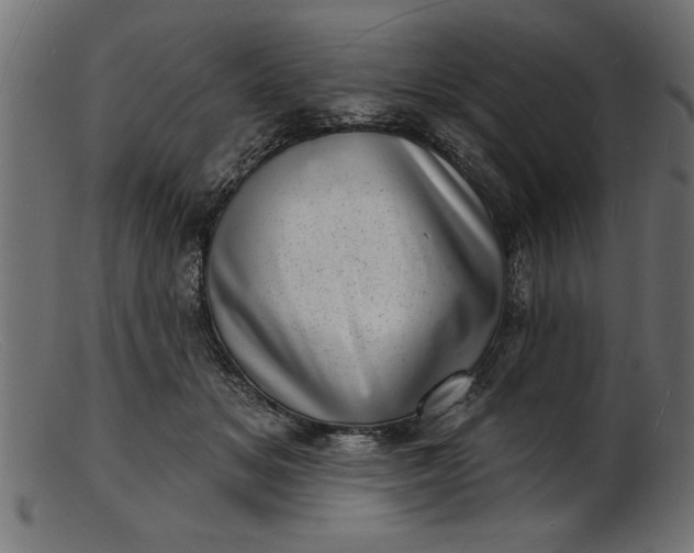 X0000103240509200809111600