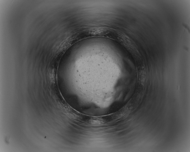 X0000103240510200809111600