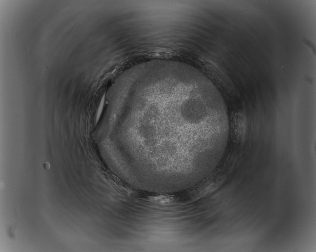 X0000103240511200809111600