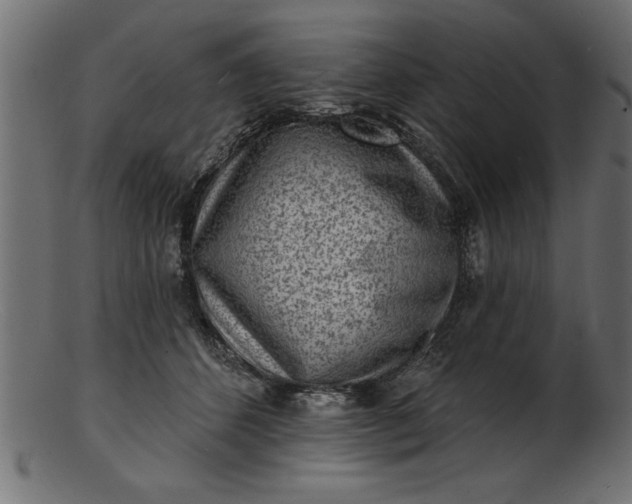 X0000103240512200809111600