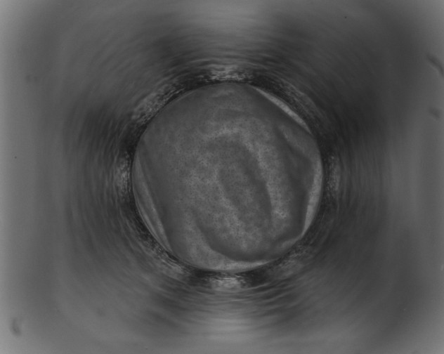 X0000103240513200809111600