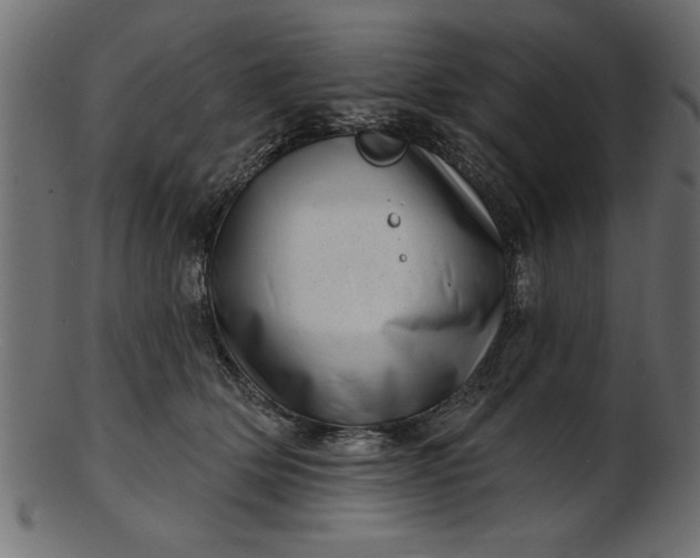 X0000103240514200809111600