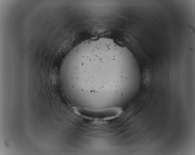 X0000103240515200809111600