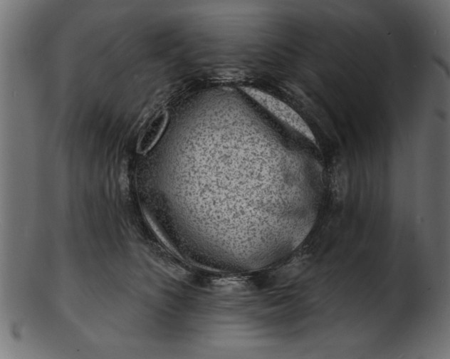 X0000103240516200809111600