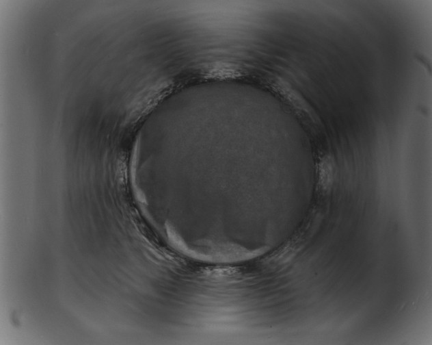 X0000103240517200809111600