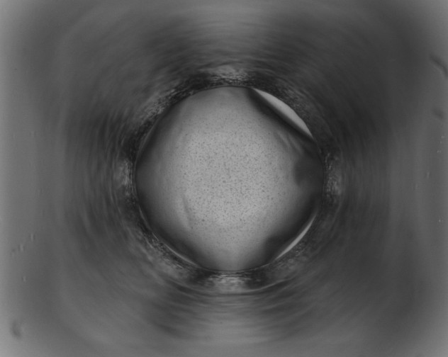 X0000103240518200809111600