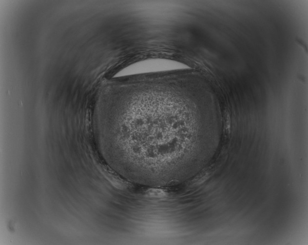 X0000103240519200809111600