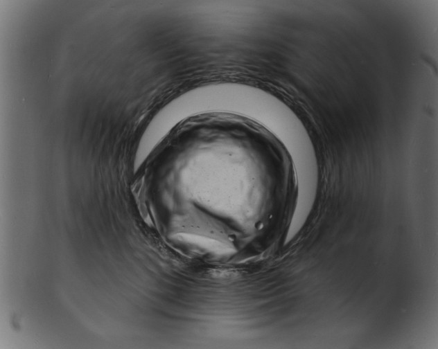 X0000103240520200809111600