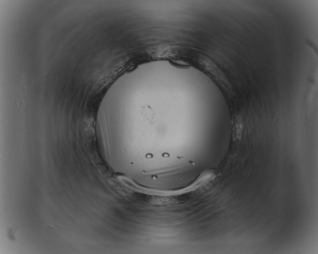 X0000103240521200809111600