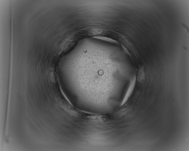 X0000103240524200809111559